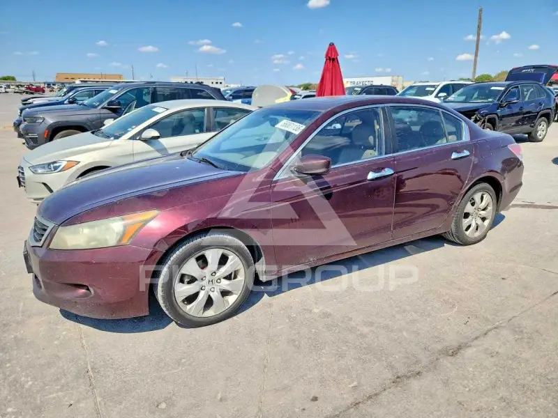 2010 Honda Accord фото