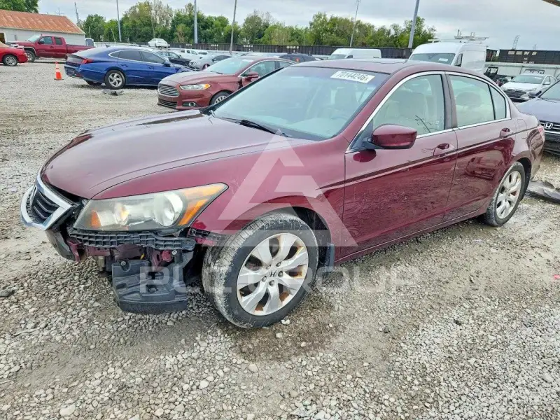 2010 Honda Accord photo