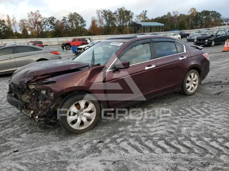 2010 Honda Accord фото