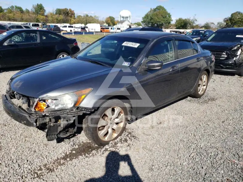 2010 Honda Accord фото