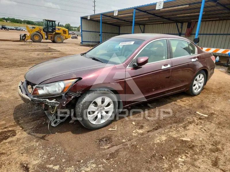 2010 Honda Accord photo