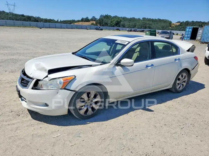 2010 Honda Accord photo