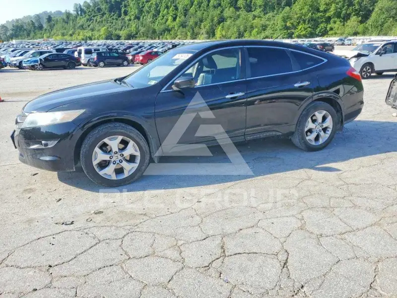 2010 Honda Accord фото