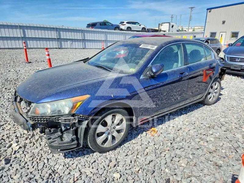 2010 Honda Accord фото