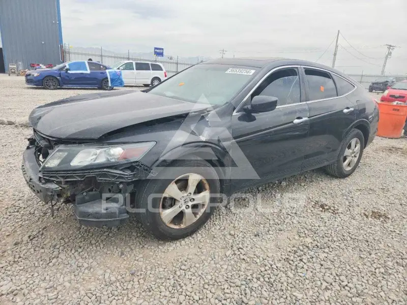 2010 Honda Accord photo