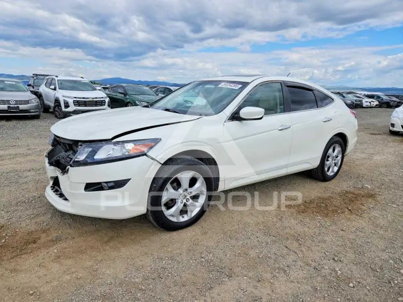 2010 Honda Accord photo