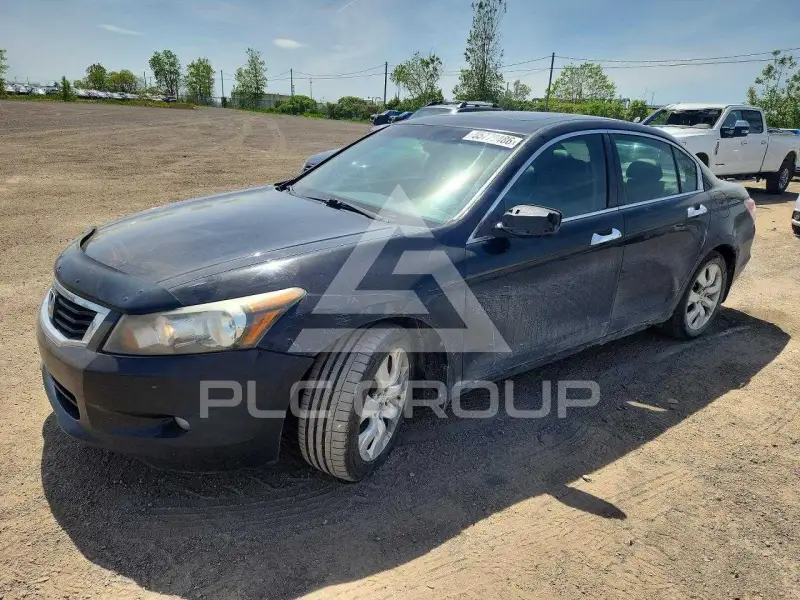 2010 Honda Accord photo