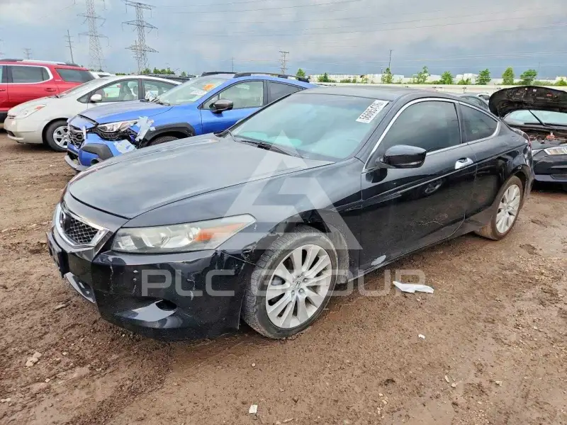 2010 Honda Accord фото
