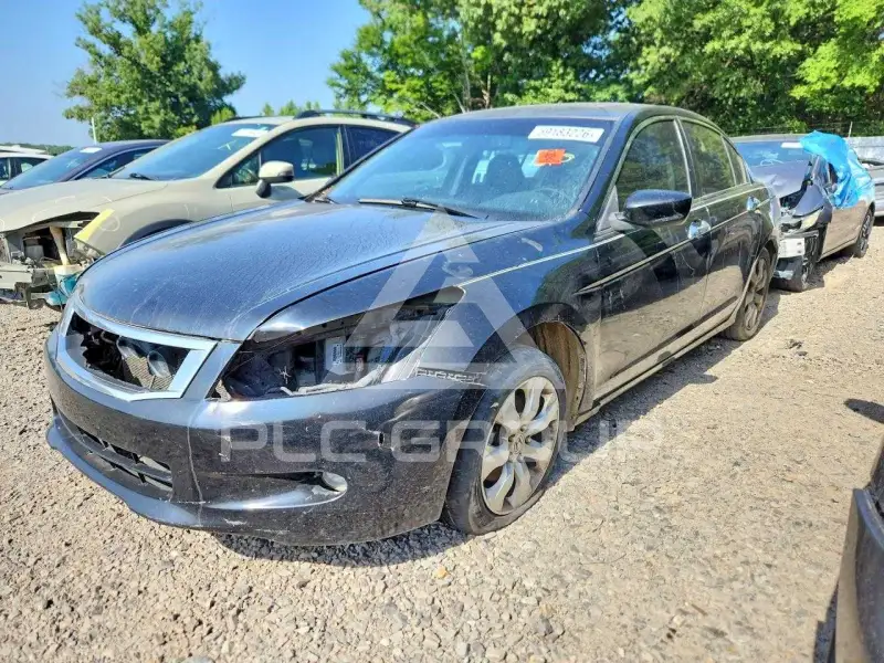 2010 Honda Accord photo