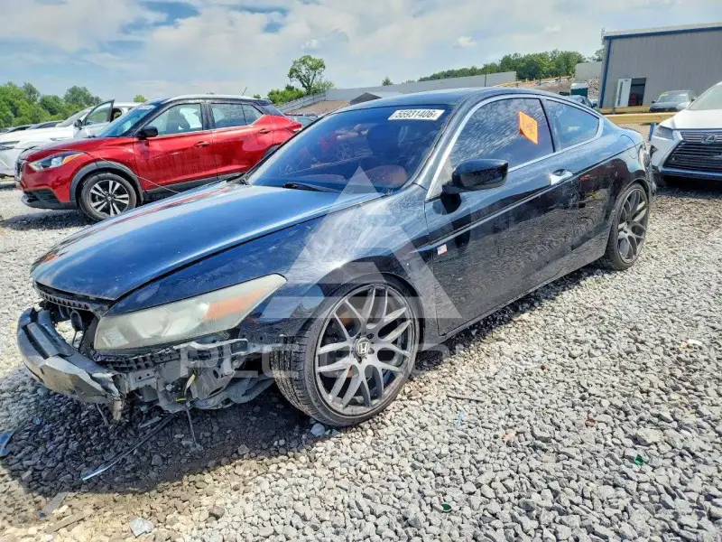 2010 Honda Accord фото