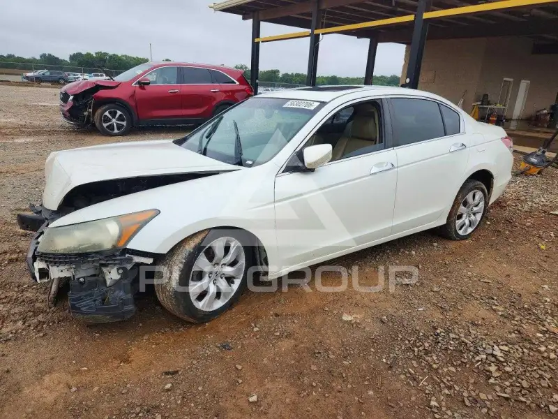 2010 Honda Accord фото