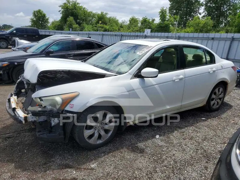 2010 Honda Accord photo