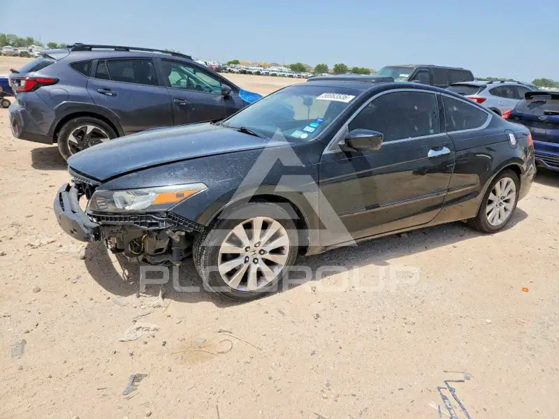2010 Honda Accord photo