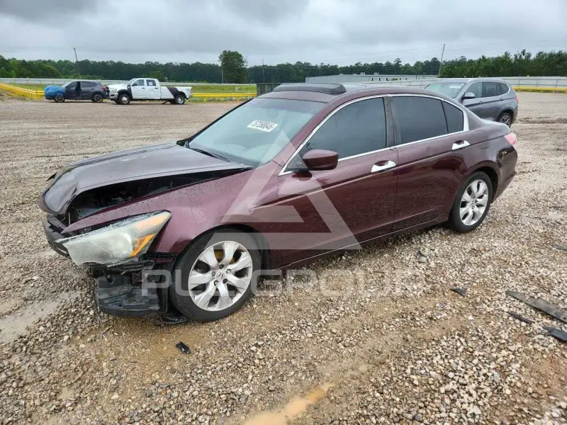 2010 Honda Accord фото