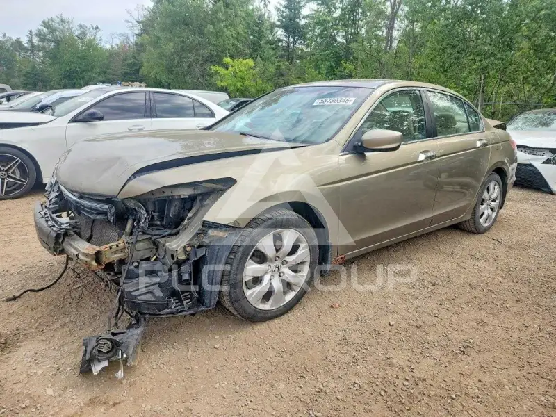 2010 Honda Accord фото