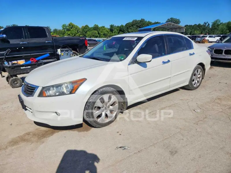2010 Honda Accord photo