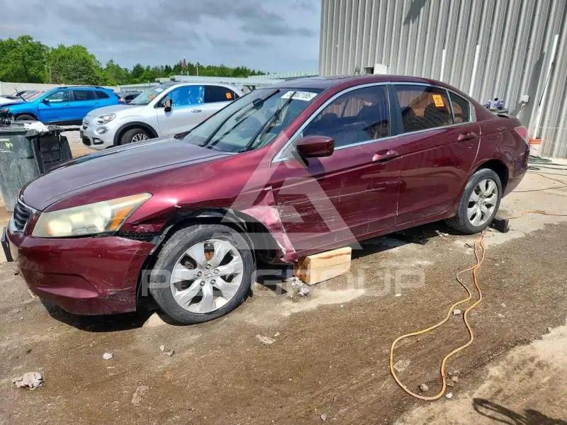 2010 Honda Accord photo