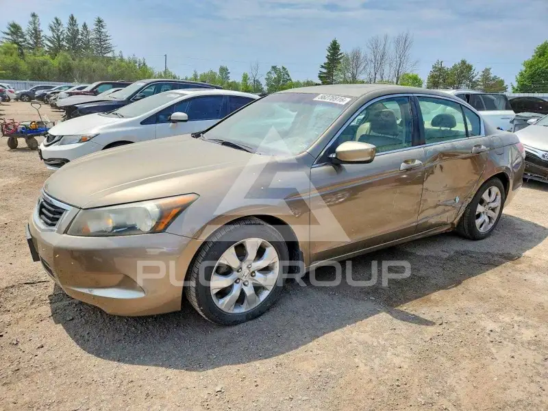 2010 Honda Accord фото