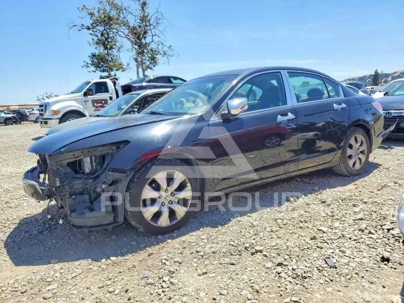 2010 Honda Accord фото