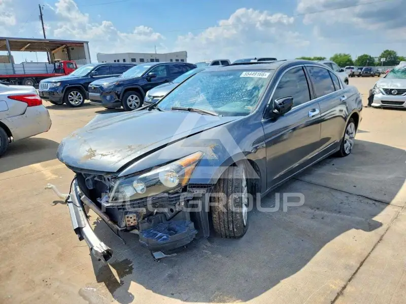 2010 Honda Accord photo
