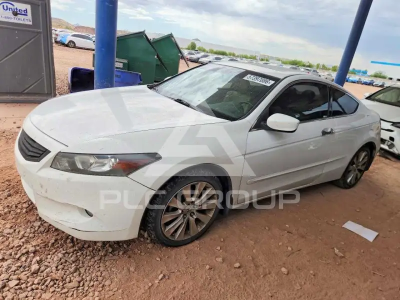 2010 Honda Accord фото