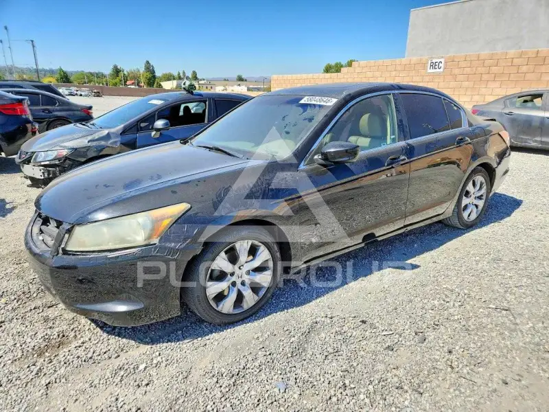 2010 Honda Accord фото