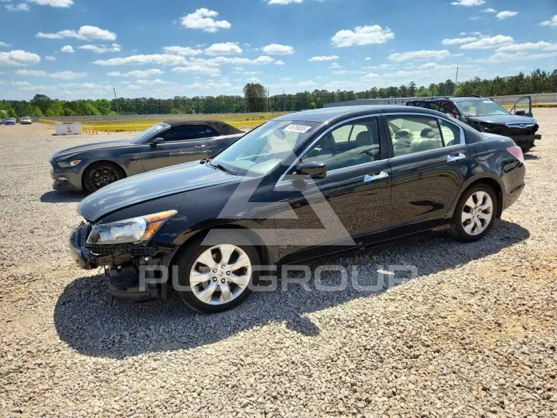 2010 Honda Accord фото