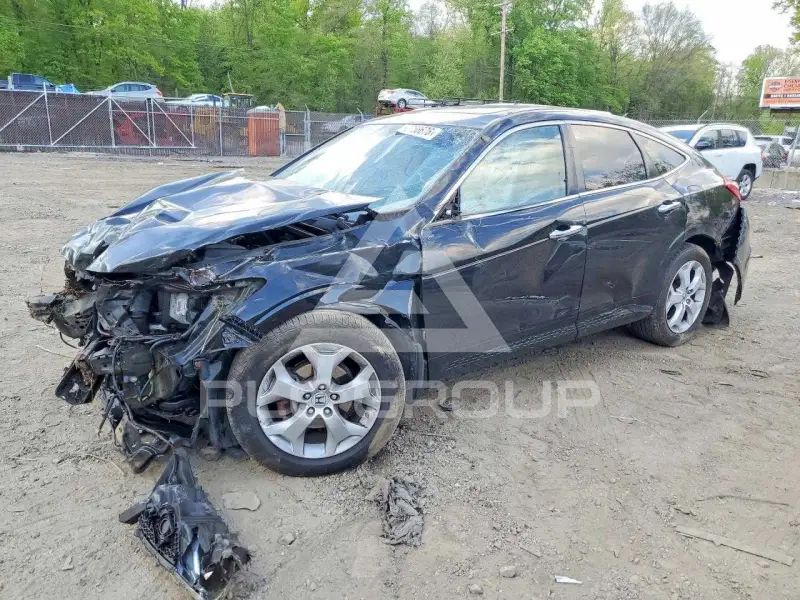 2010 Honda Accord фото