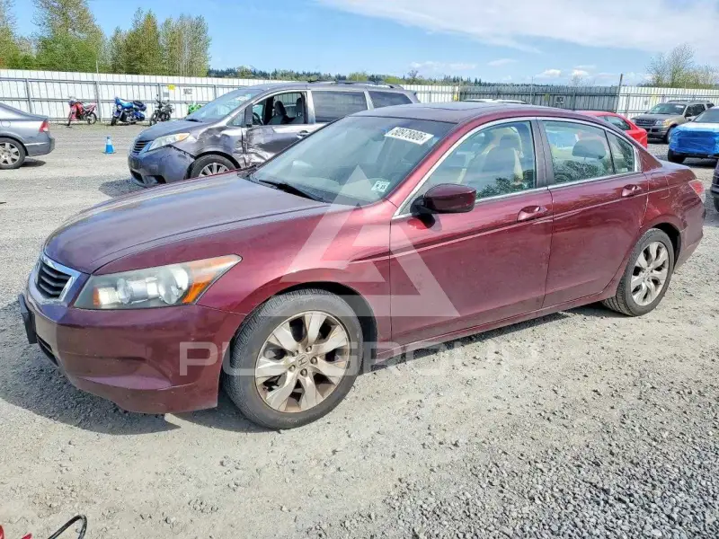 2010 Honda Accord фото