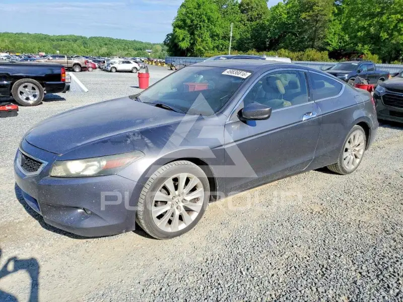2010 Honda Accord фото