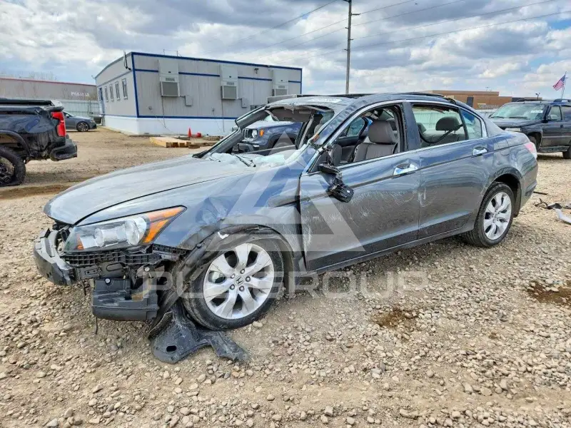 2010 Honda Accord фото