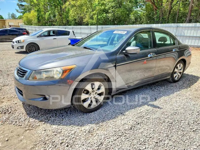 2010 Honda Accord фото