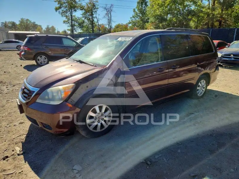 2010 Honda ODYSSEY photo