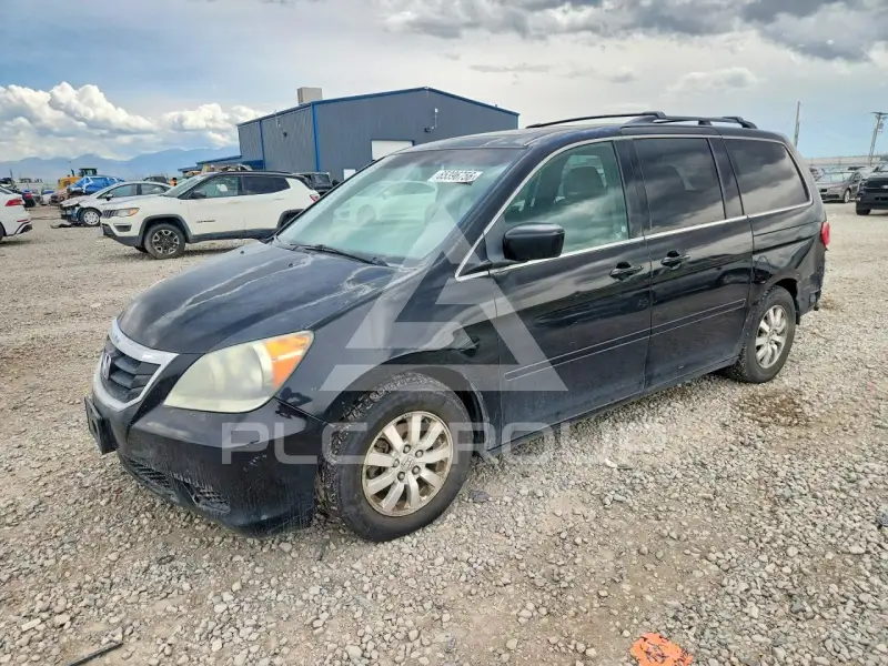 2010 Honda ODYSSEY фото