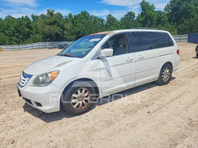 2010 Honda ODYSSEY photo