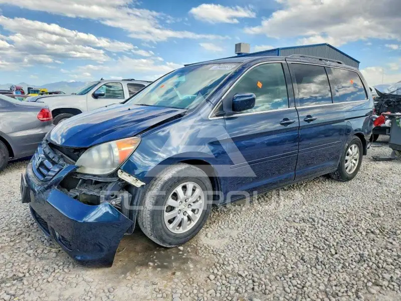 2010 Honda ODYSSEY фото