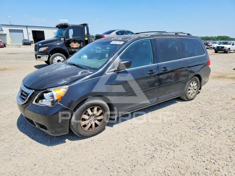 2010 Honda ODYSSEY фото