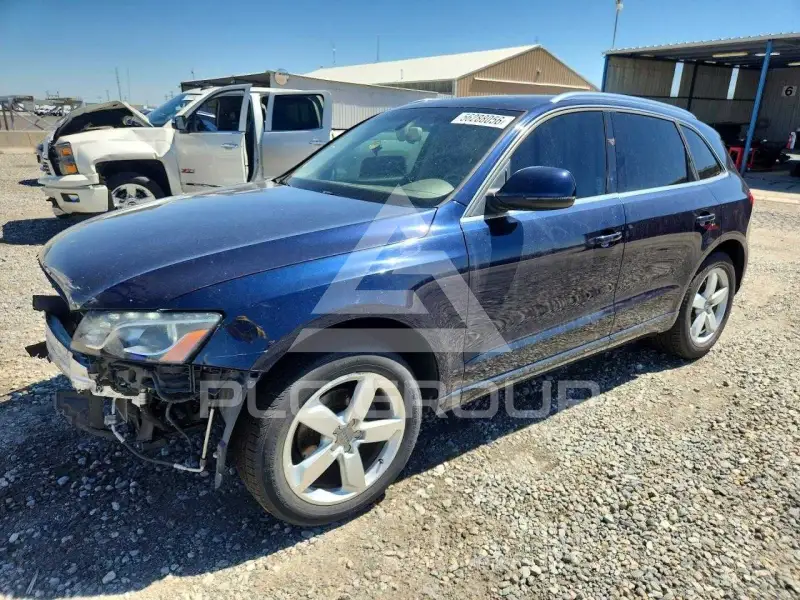 2010 Audi Q5 фото