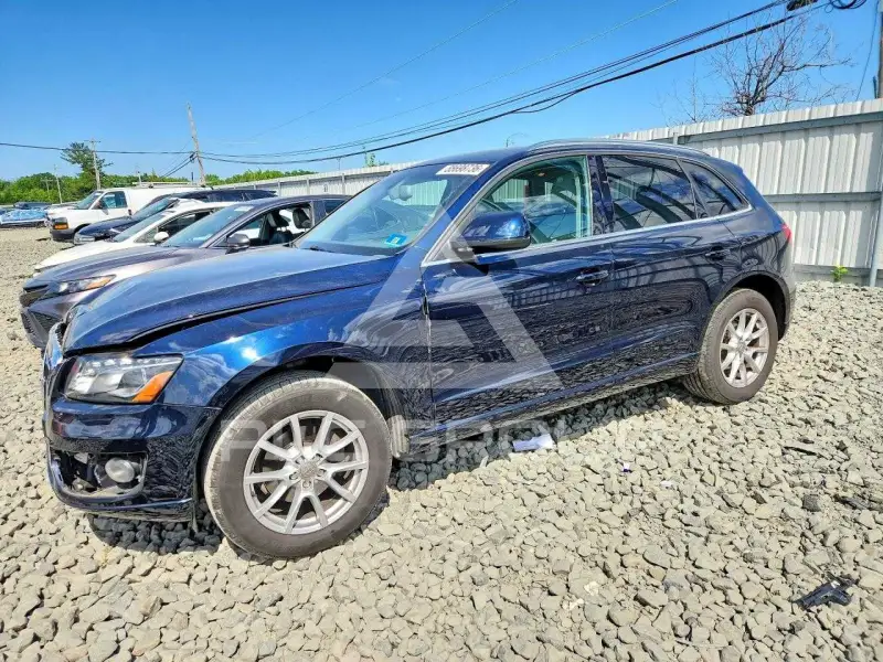 2010 Audi Q5 фото
