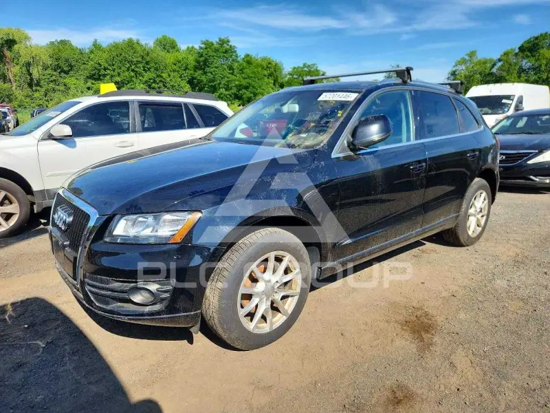 2010 Audi Q5 фото