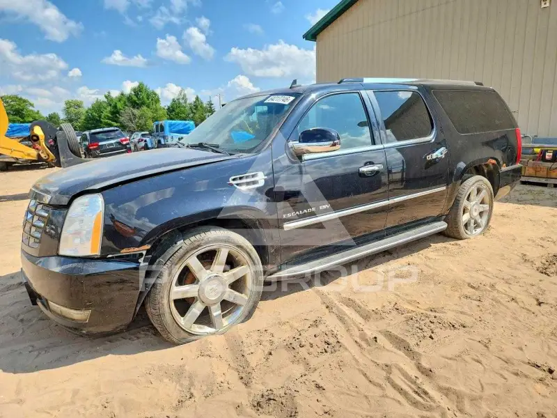 2010 Cadillac ESCALADE фото