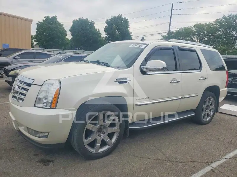 2010 Cadillac ESCALADE photo