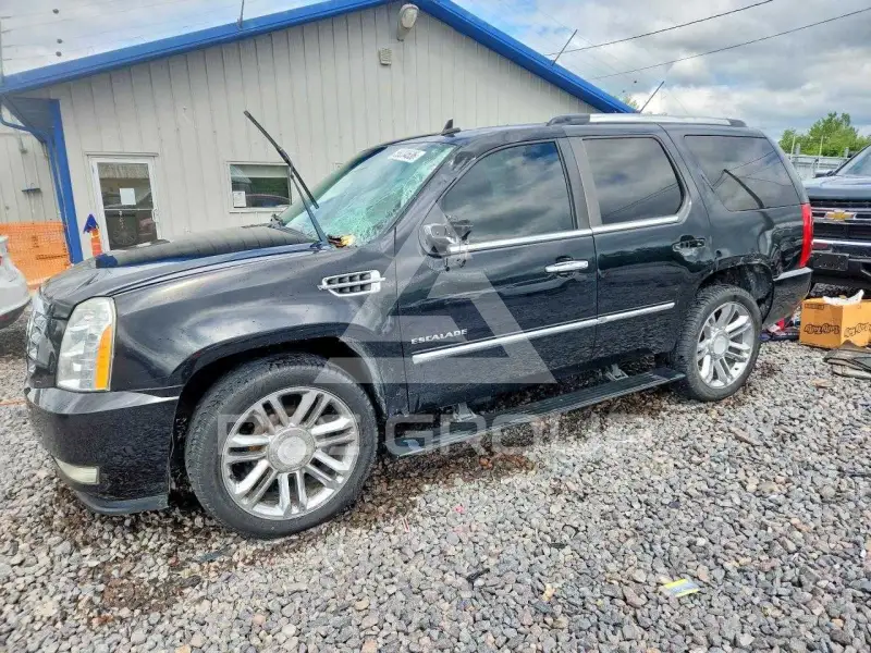 2010 Cadillac ESCALADE photo