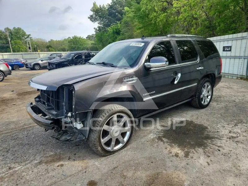 2010 Cadillac ESCALADE фото
