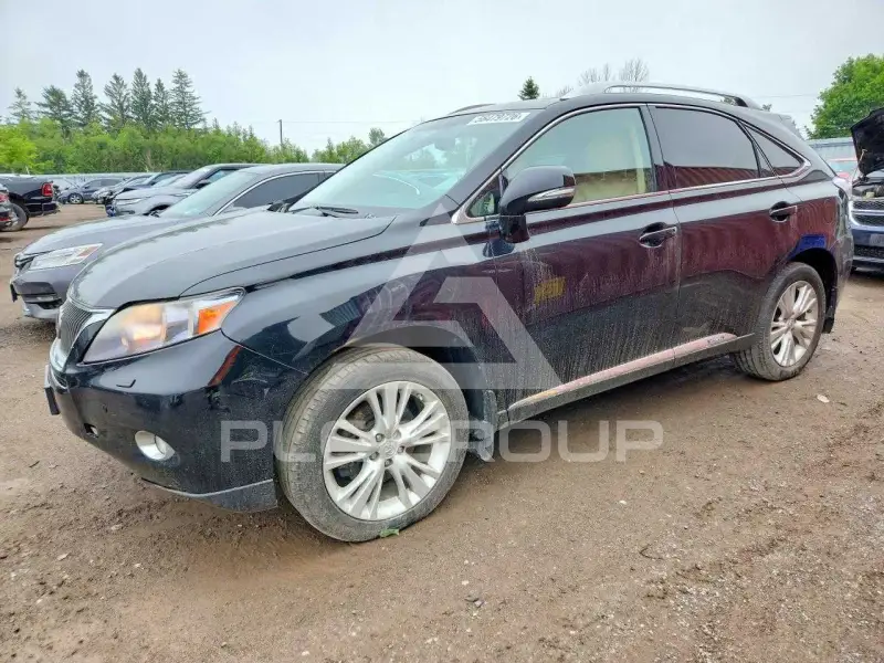 2010 Lexus RX450 фото