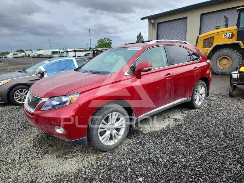 2010 Lexus RX450 фото