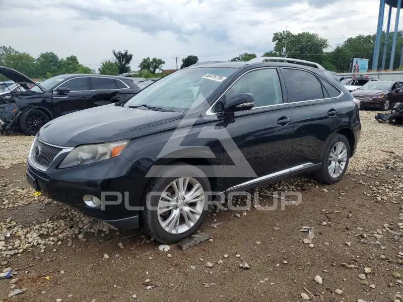 2010 Lexus RX450 фото