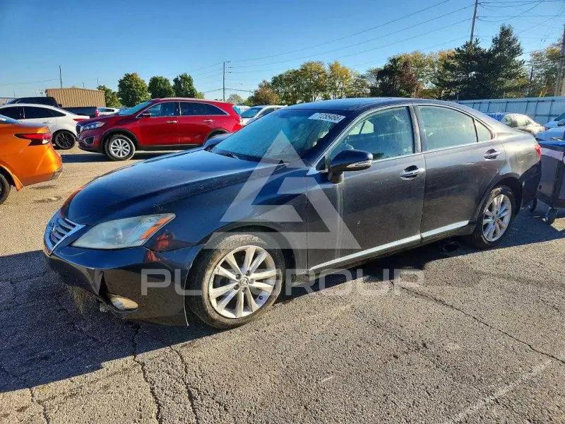 2010 Lexus ES350 фото
