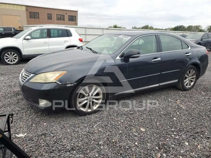 2010 Lexus ES350 фото