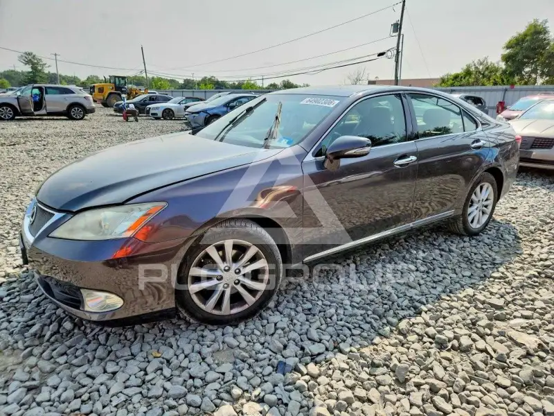 2010 Lexus ES350 фото